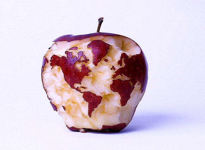 Apple with world map carving