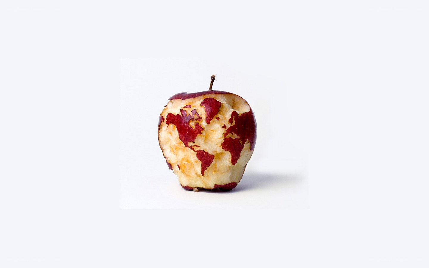 apple with world map carving
