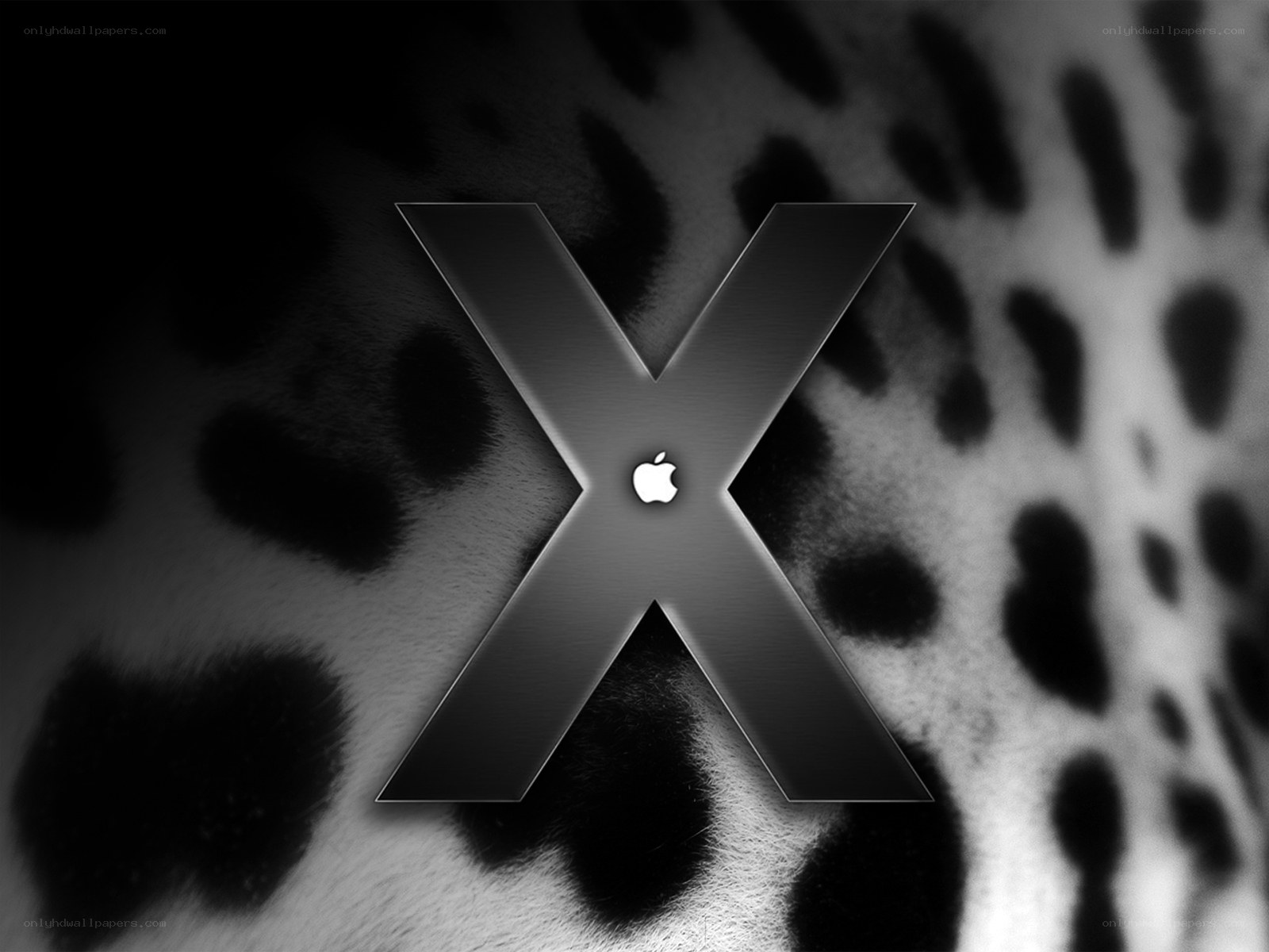 Apple X logo on spotted background