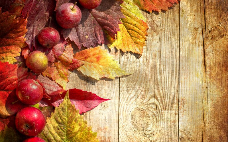 Apples and Autumn Leaves — Red, Autumnal, Photograph