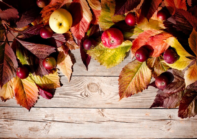 Apples and Autumn Leaves — Red, Autumnal