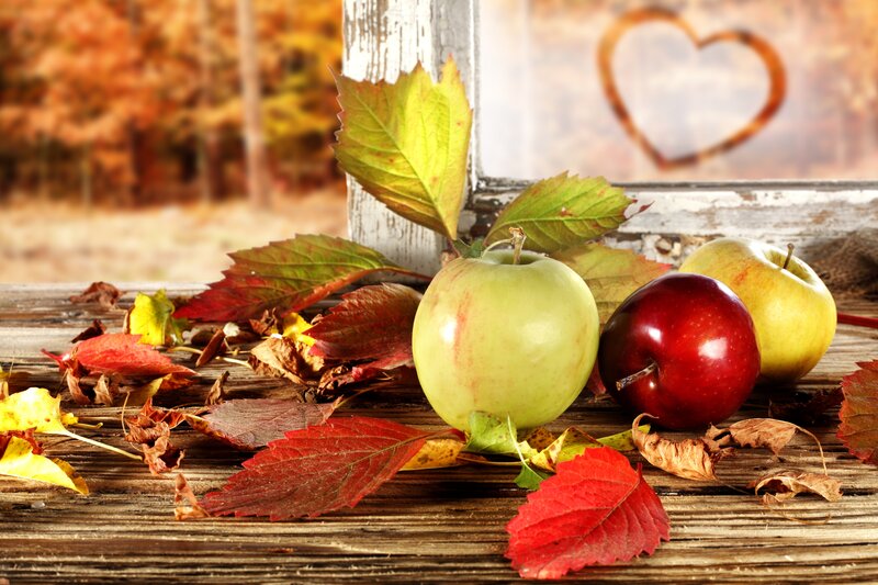 Apples and Autumn Leaves — Red, Calm