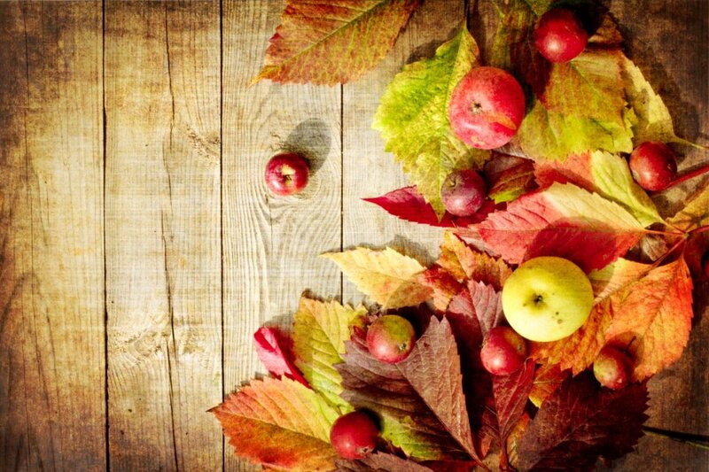 Apples and Autumn Leaves — Red