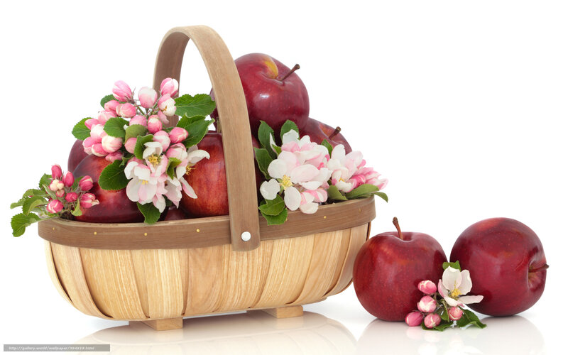 apples and blossoms in basket