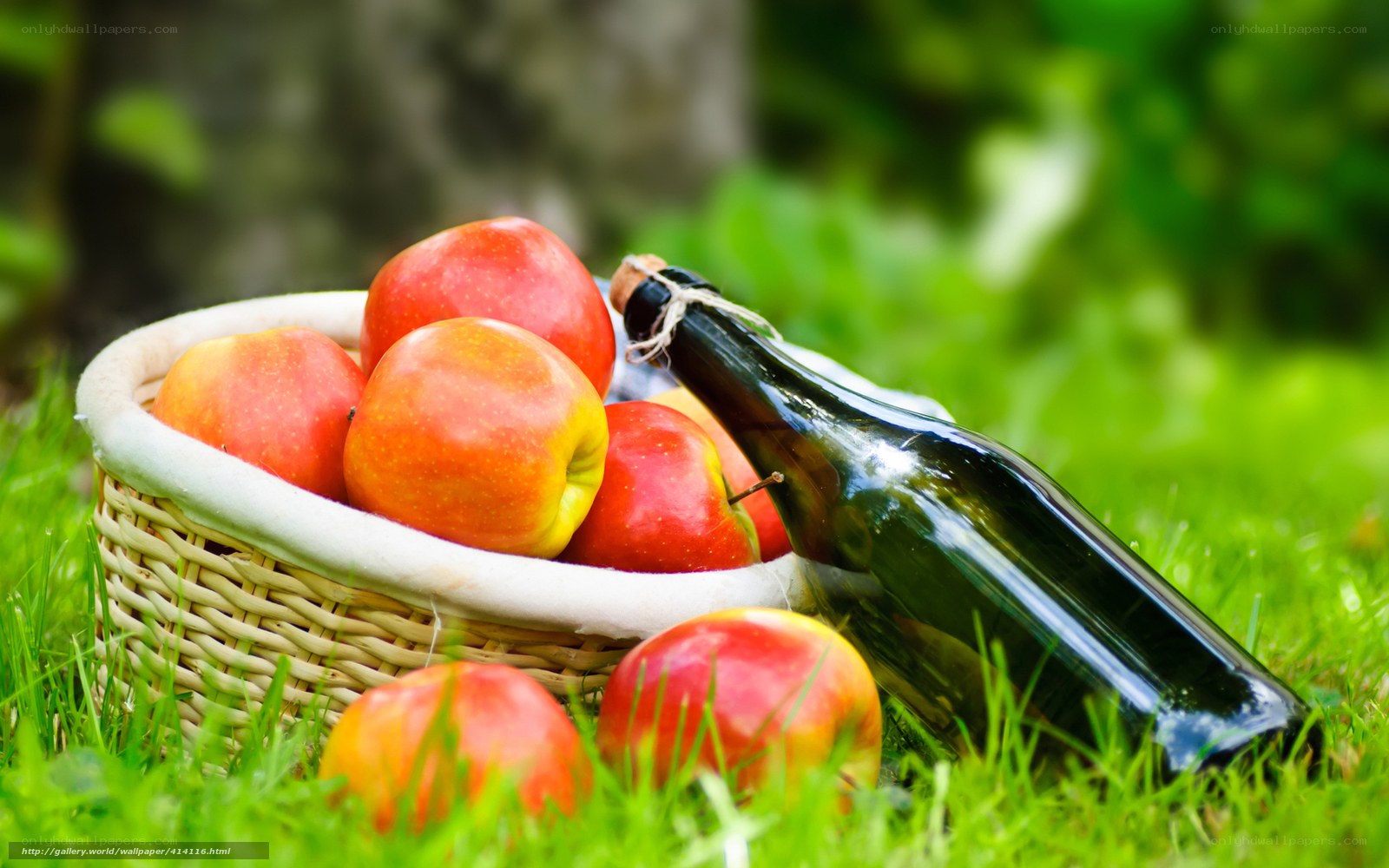 Apples and bottle in a basket