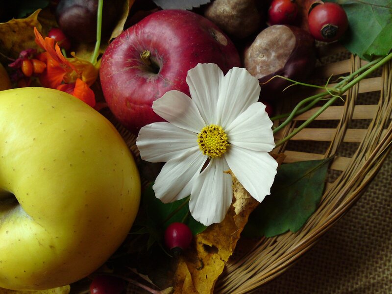 Apples and Flower in Basket