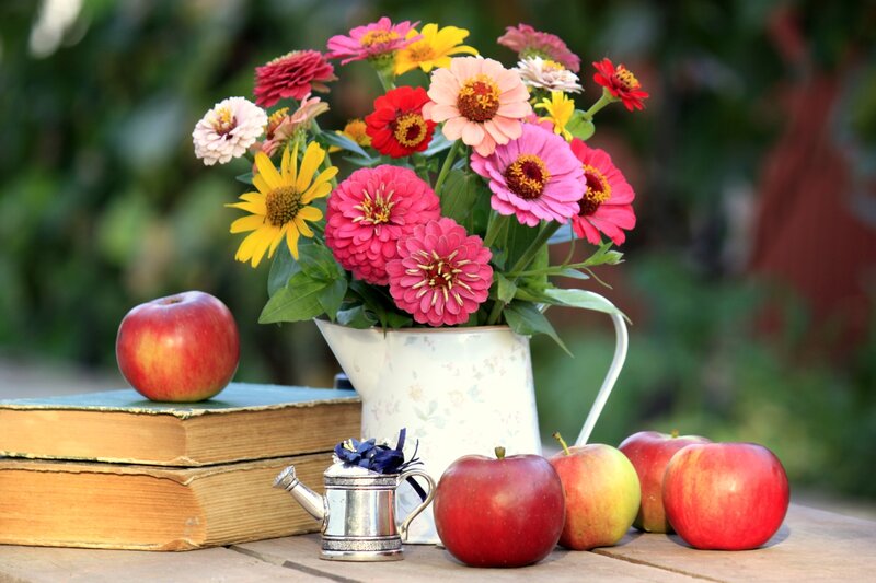 Apples and Flowers in Pitcher — Red, Serene, Afternoon