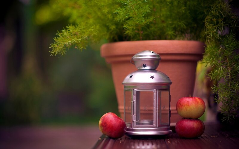 Apples and Lantern — Red