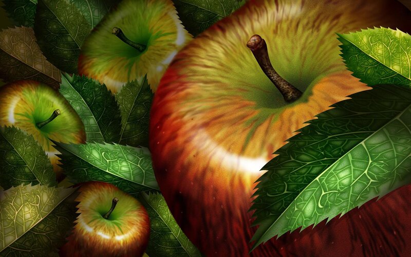 Apples and leaves in close-up