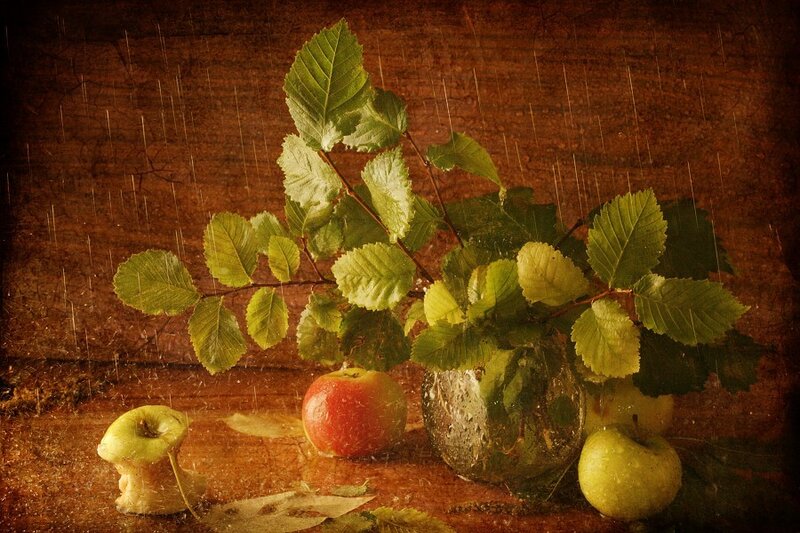 Apples and Leaves in Vase