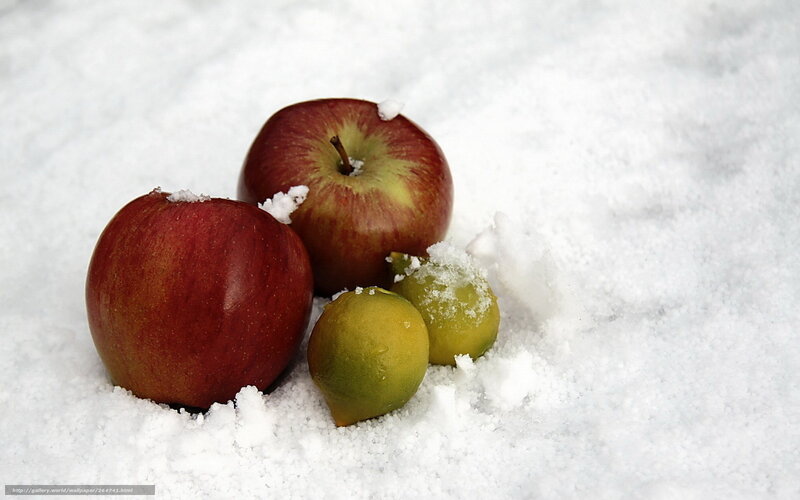 Apples and Limes in Snow