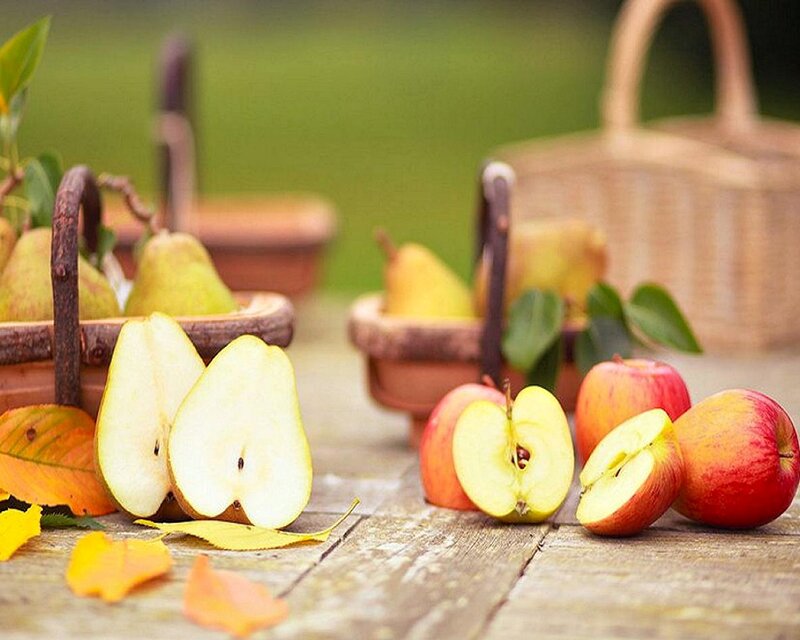 Apples and Pears on Table — Red