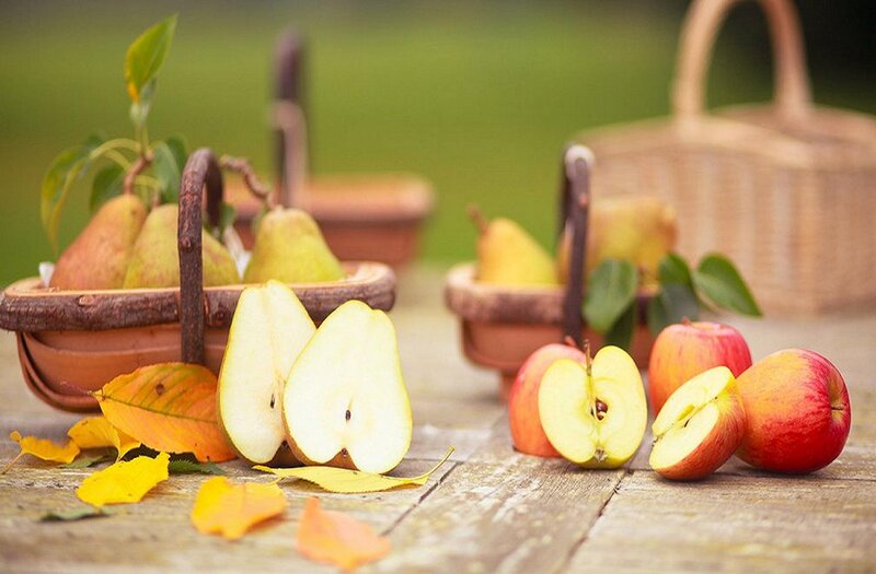 Apples and Pears on Table