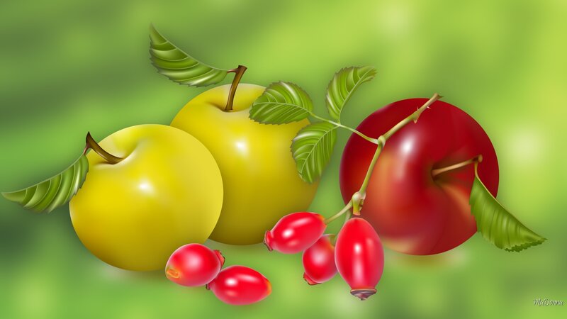 Apples and Rosehips