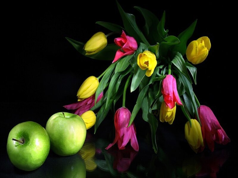 apples and tulips still life