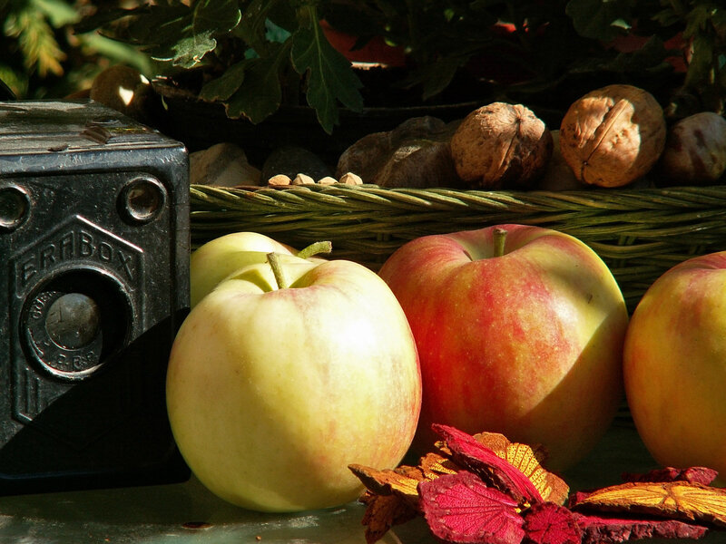 Apples and Walnuts in Basket