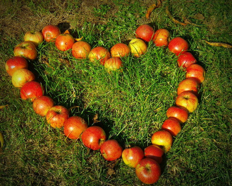 Apples Arranged in Heart