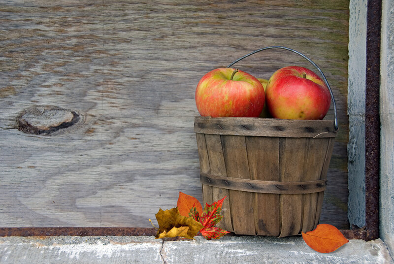 Apples in a Basket — Brown, Calm