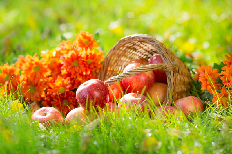 Apples in a Basket — Green, Serene, Autumn