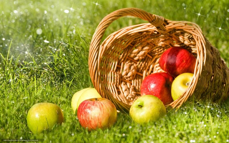 Apples in a Basket — Green, Serene, Morning, Photograph