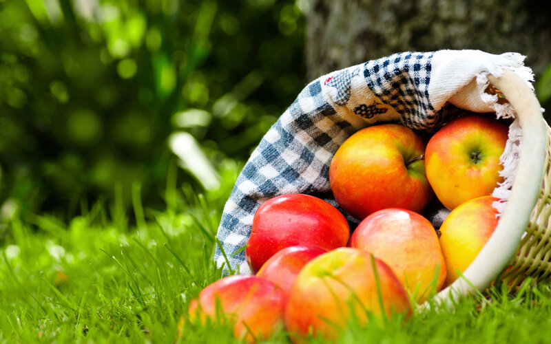 Apples in a Basket — Green, Serene
