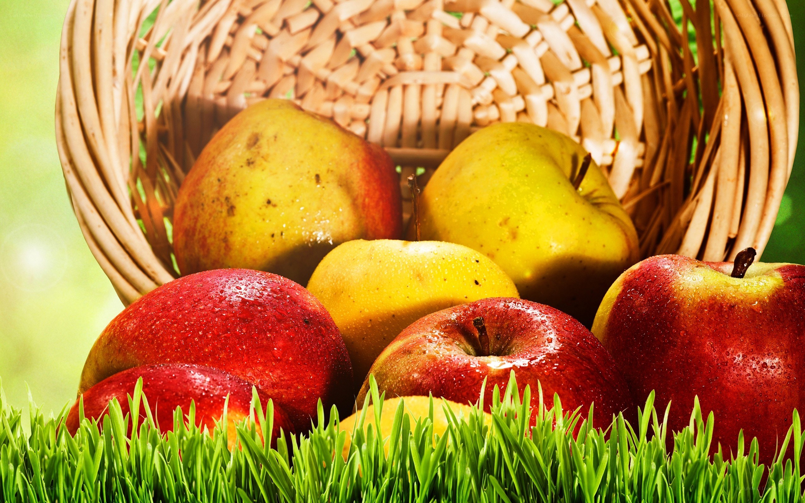 apples in a basket on grass