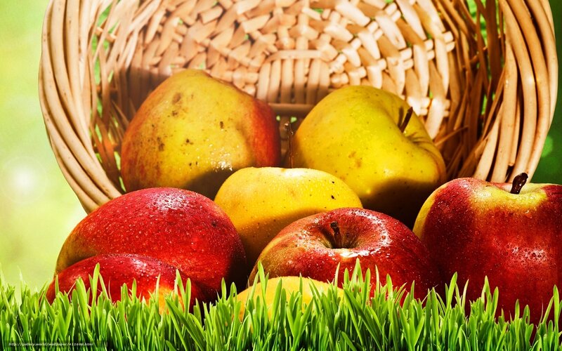 Apples in a Basket — Red, Fresh, Morning