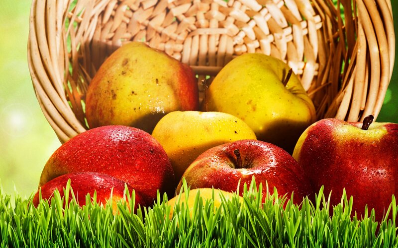 Apples in a Basket — Red, Fresh