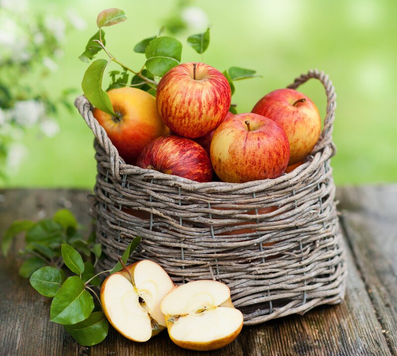 Apples in a Basket — Red, Natural