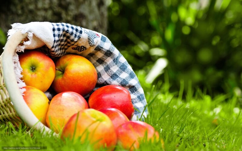 Apples in a Basket — Red, Serene, Afternoon, Photograph, Cloth