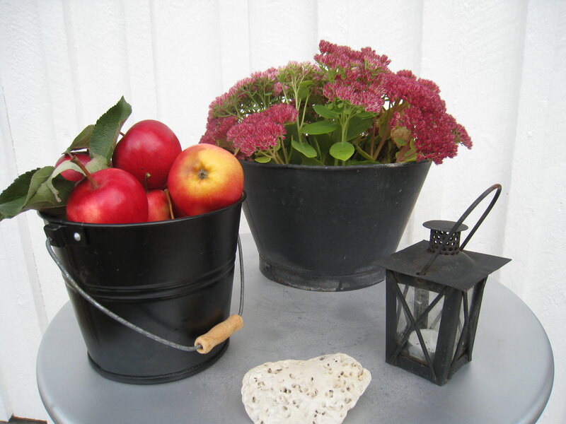 Apples in a Bucket — Black