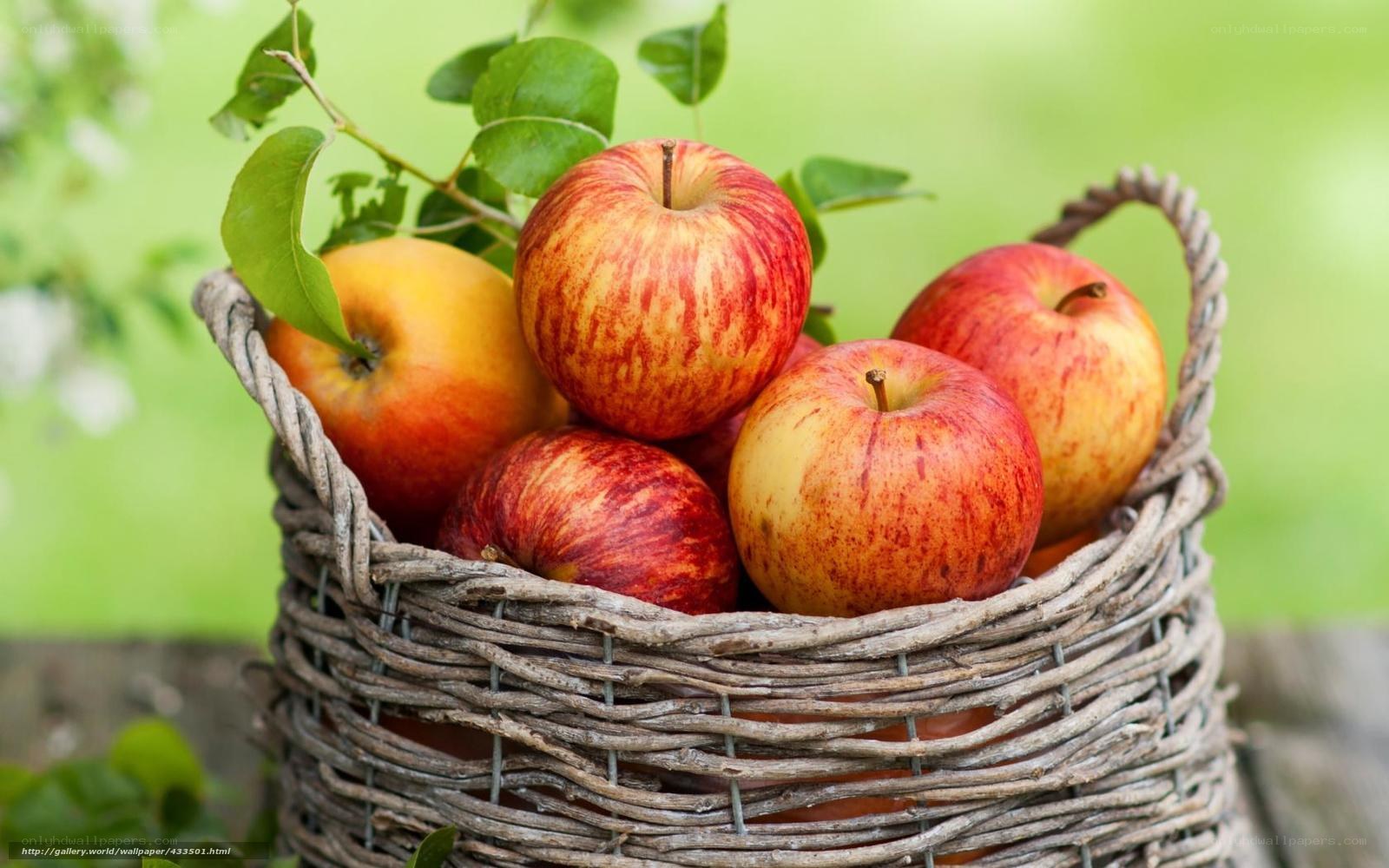 apples in a wicker basket