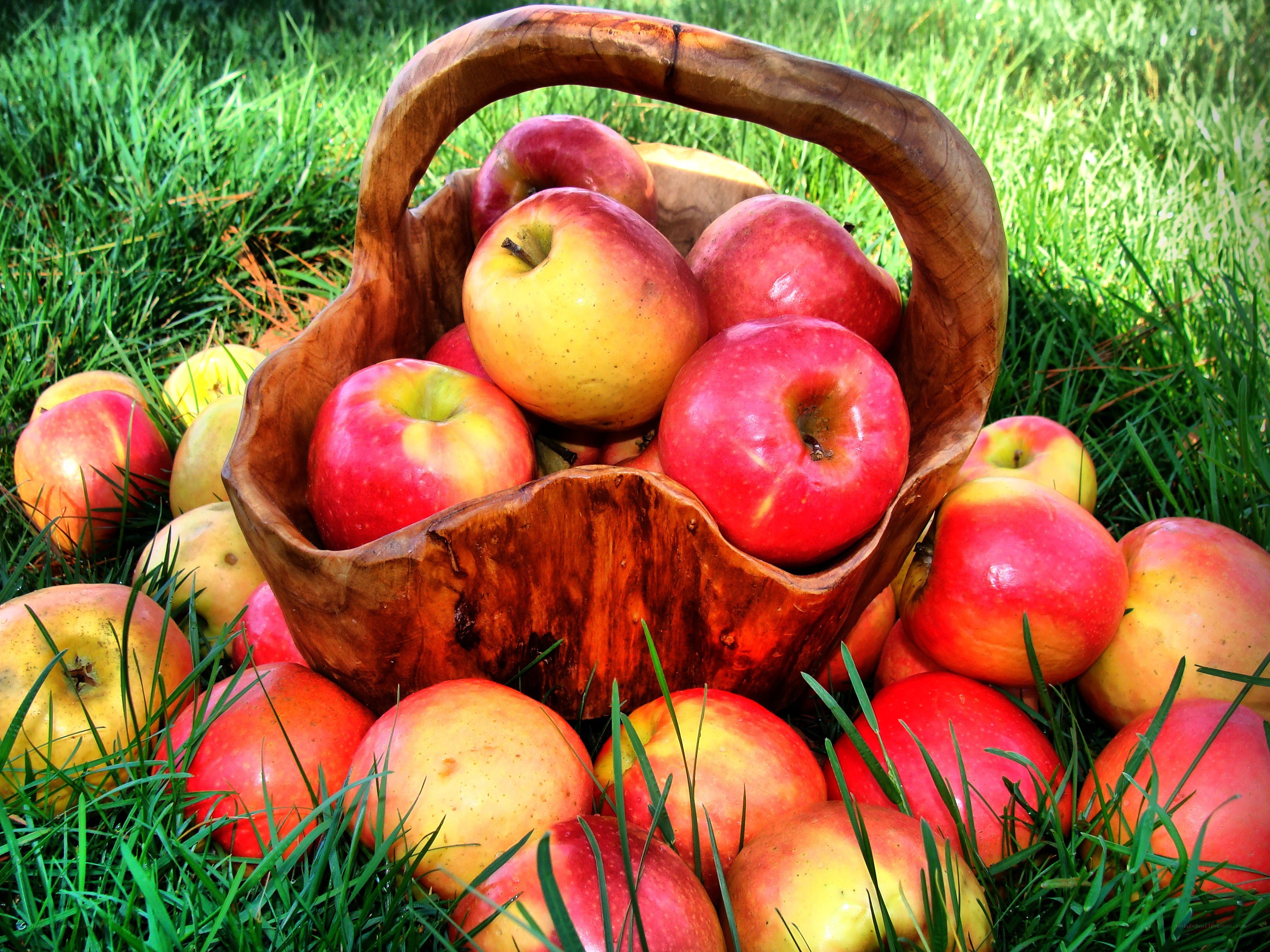 Apples in a wooden basket