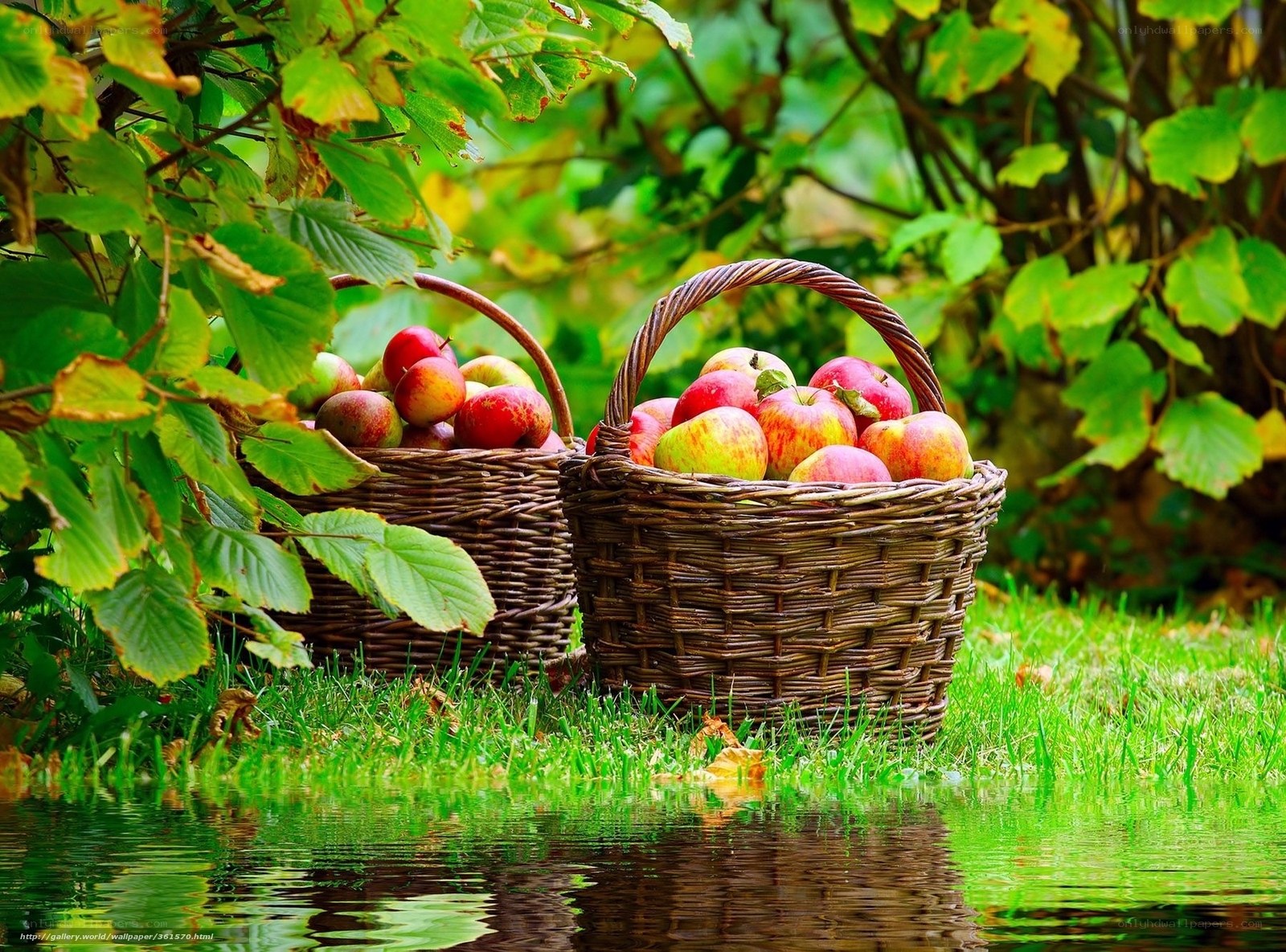Apples in baskets by water