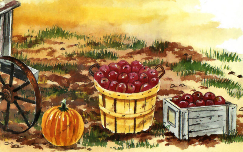 Apples in Baskets — Yellow