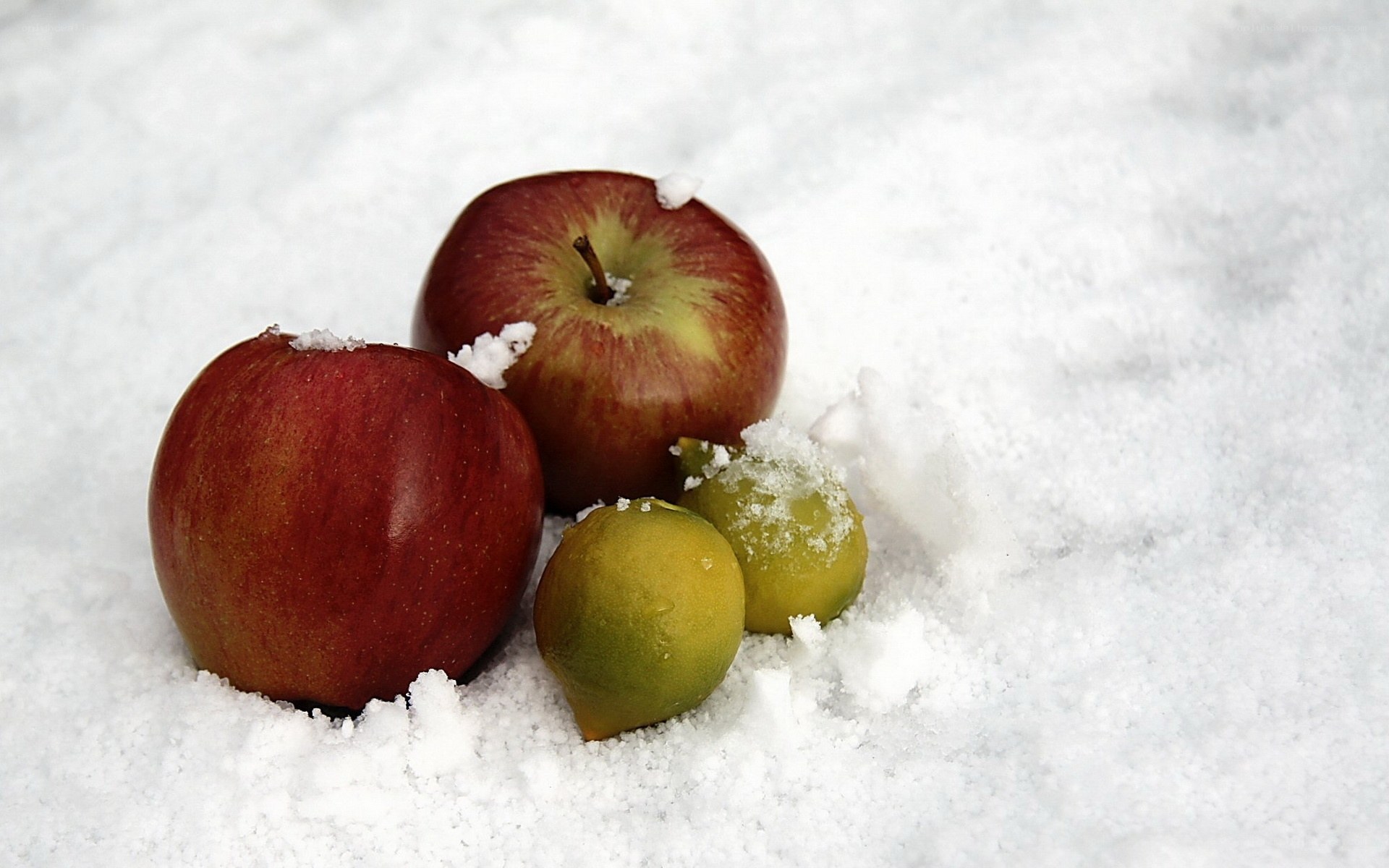 apples in the snow