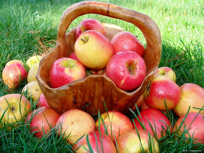 Apples in Wooden Basket
