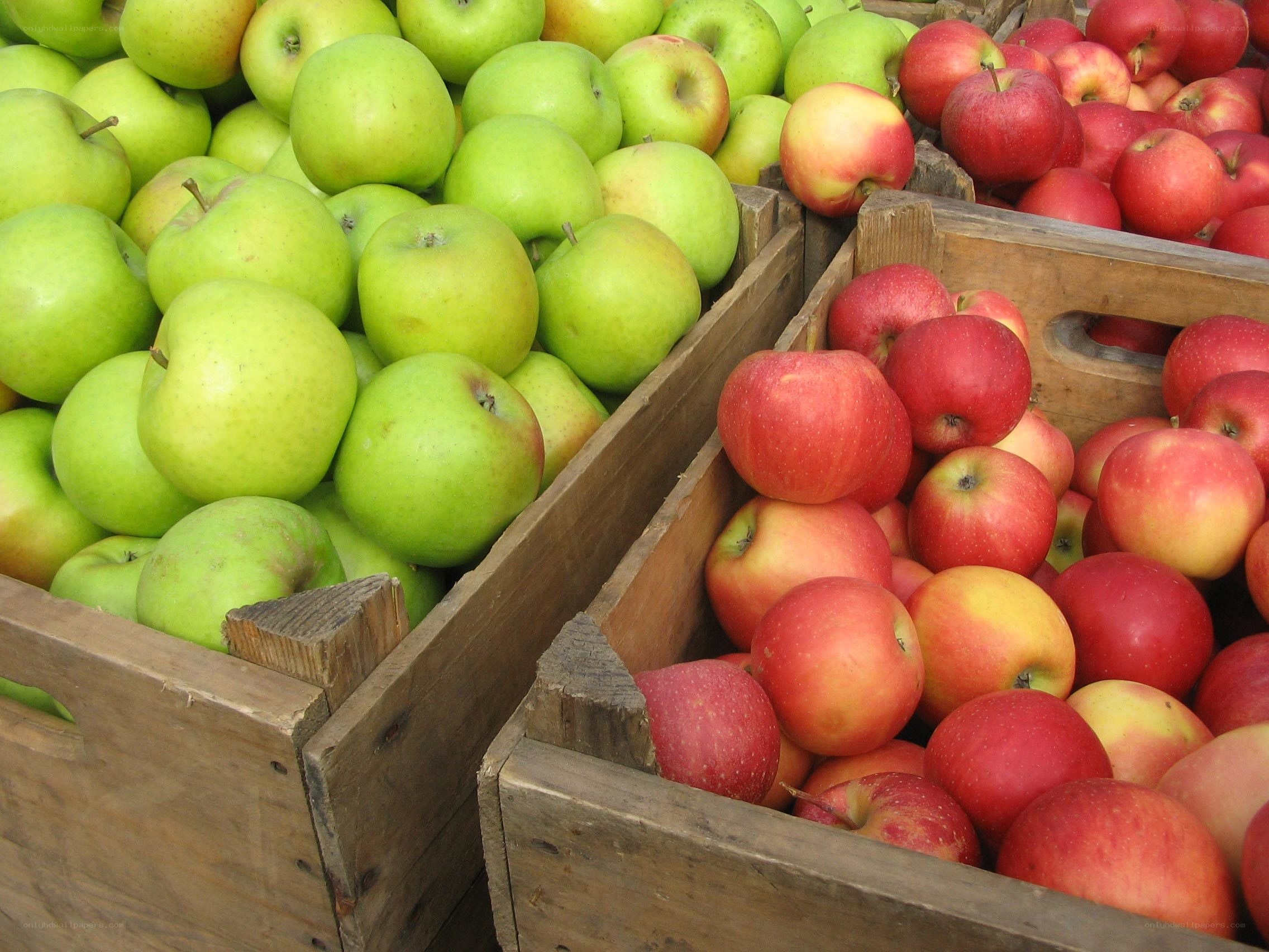 Apples in wooden crates