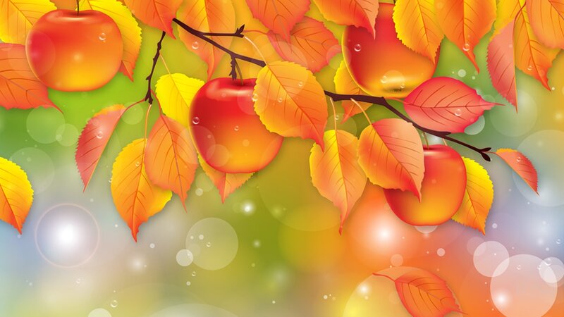 Apples on Autumn Branch
