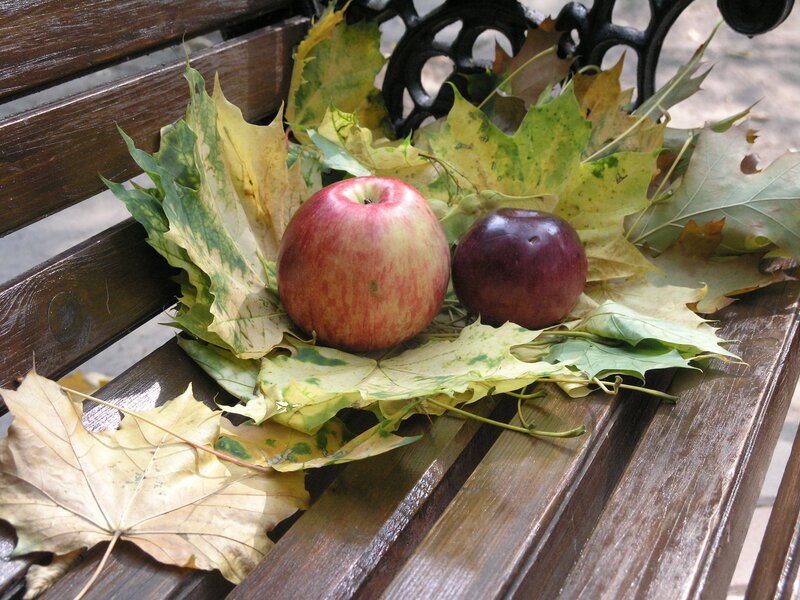 Apples on Leaves