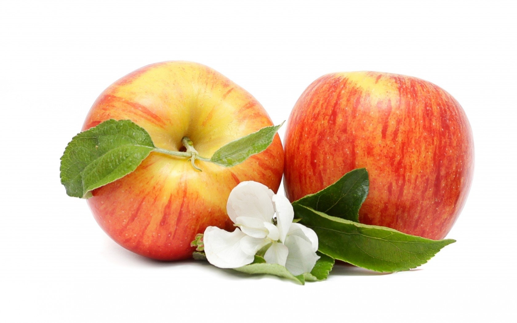 apples with blossom and leaves