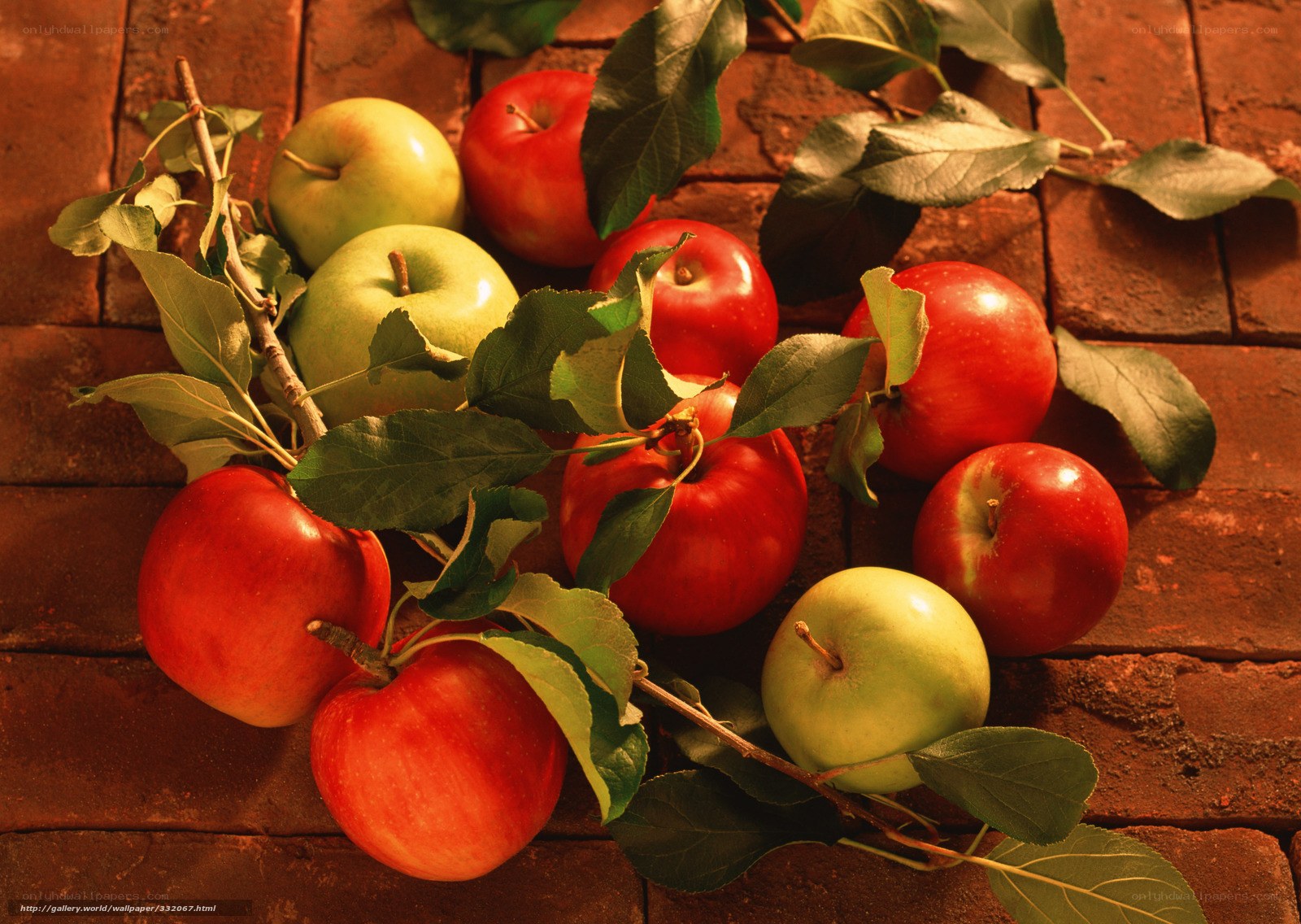 apples with leaves on brick