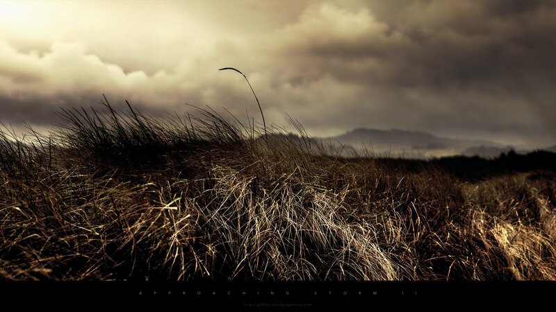Approaching storm over grassy dunes