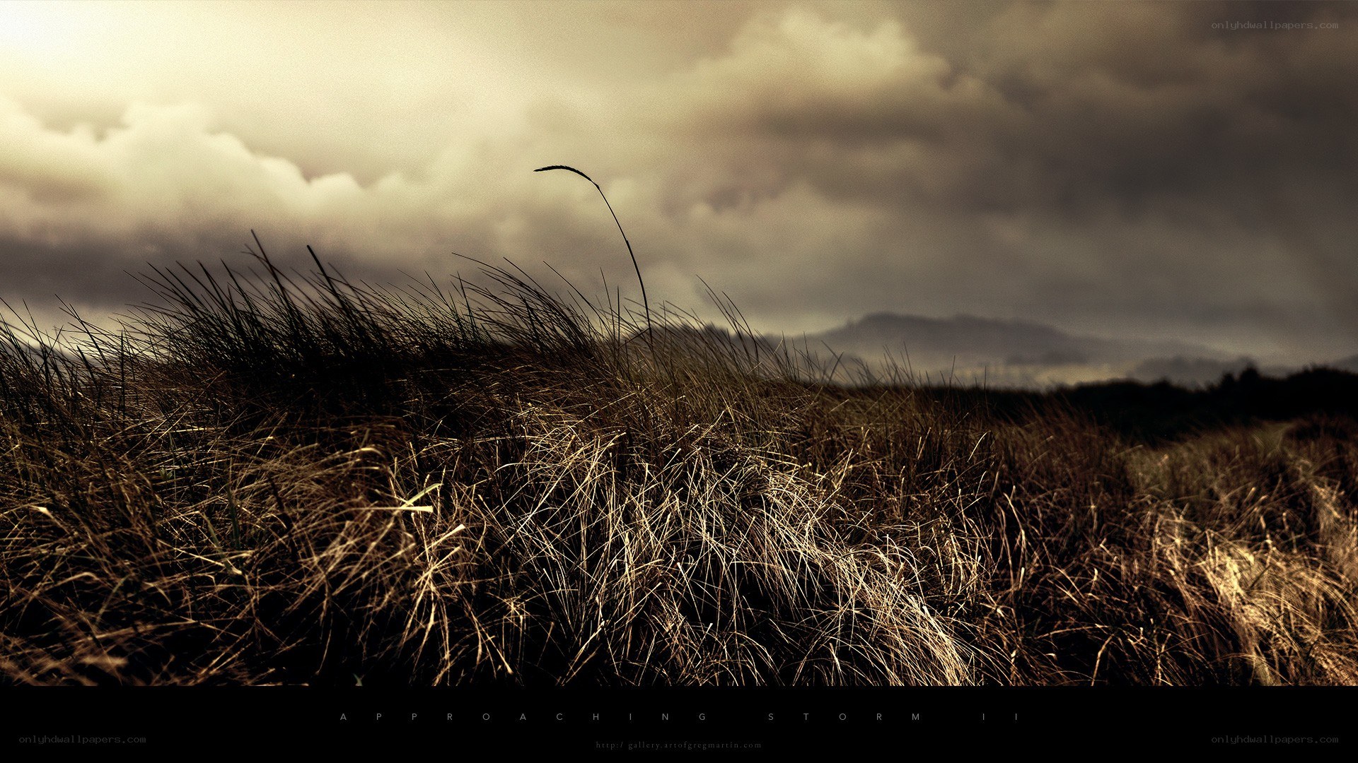 Approaching storm over grassy dunes