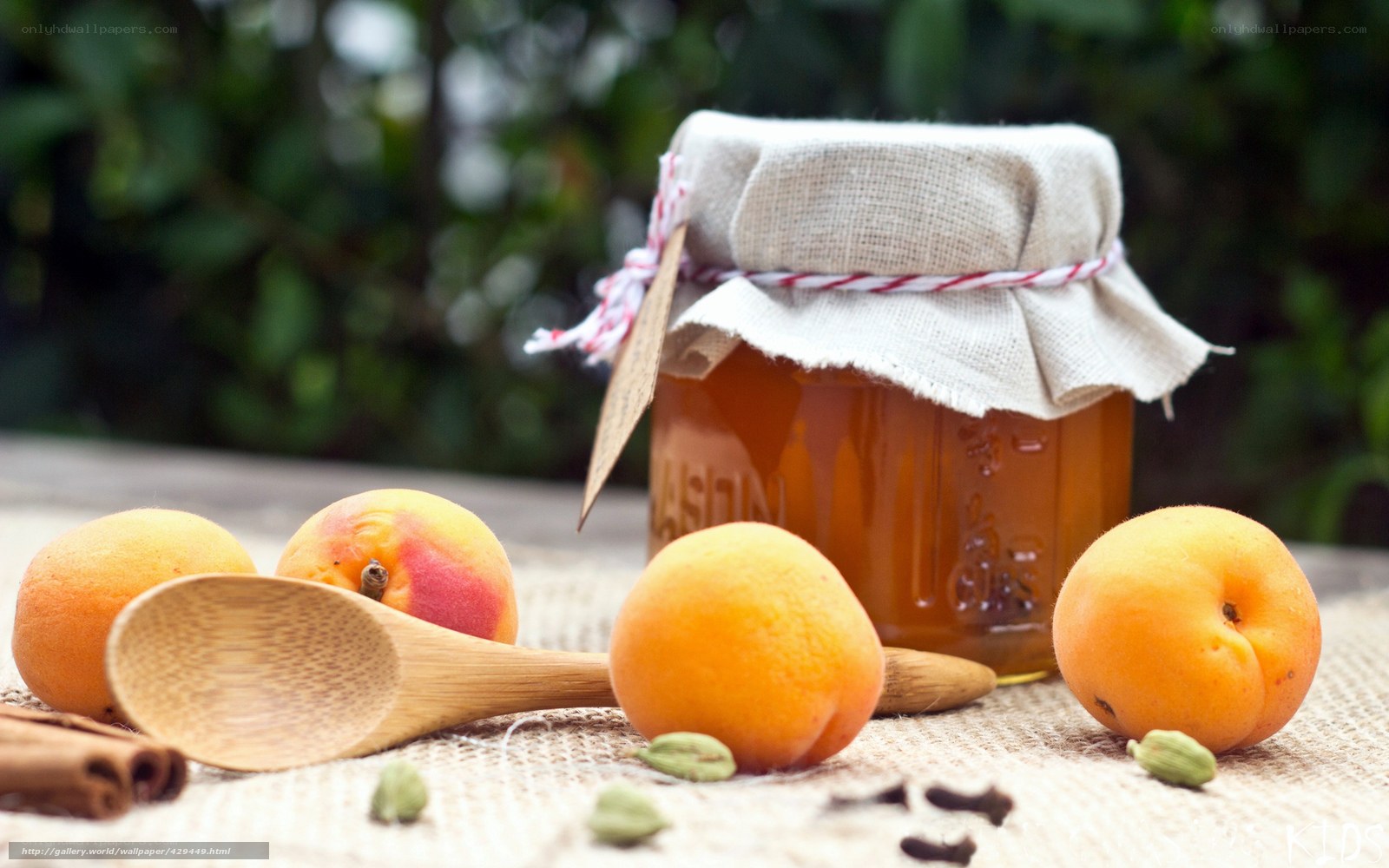 apricot jam with fresh fruit