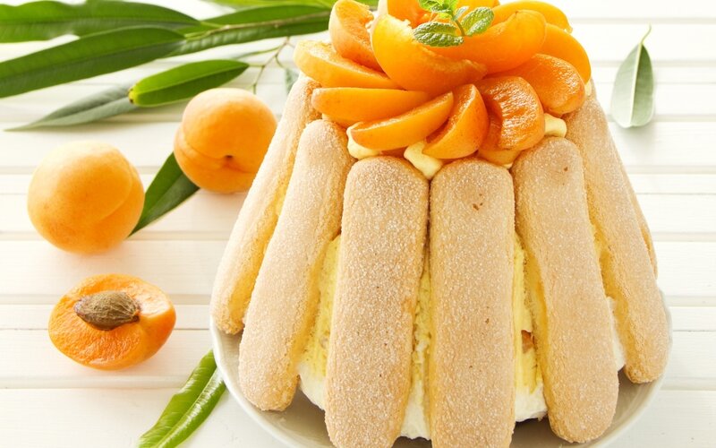 Apricot Tiramisu Dessert — Orange