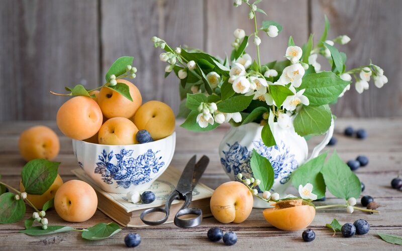Apricots and Blueberries — White