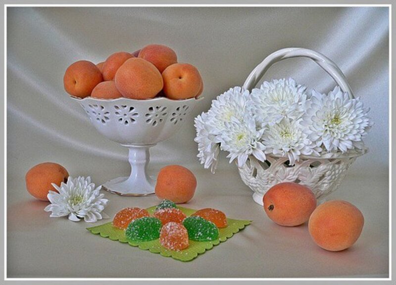 Apricots and Flowers — White