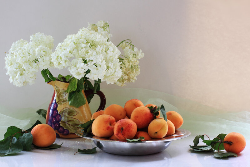 Apricots and White Flowers