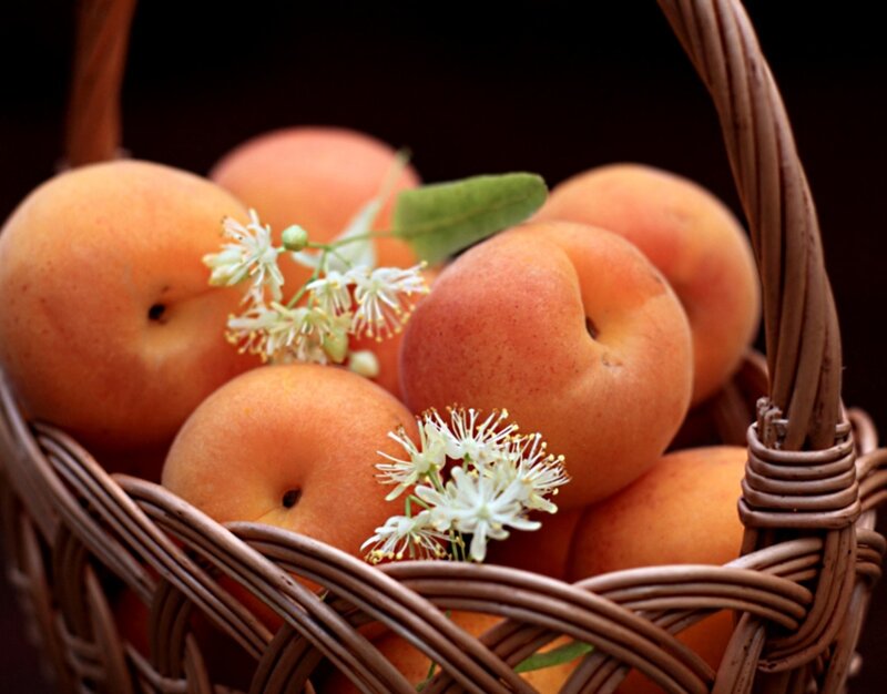 Apricots in a Basket — Orange, Serene